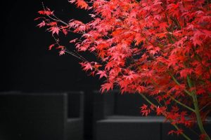 کاش یه هایپر مارکتِ زندگی سالم داشتیم